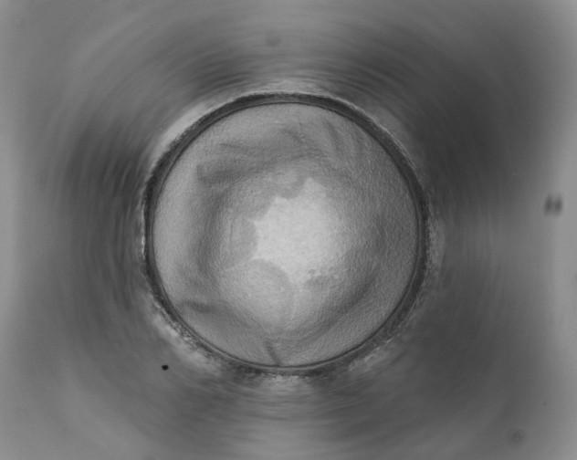 X0000111360982200907241218