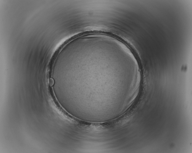 X0000111360983200907241218