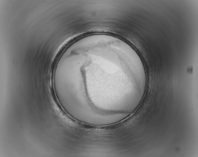 X0000111360984200907241218