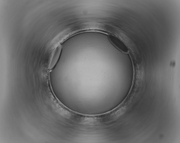 X0000111360985200907241218