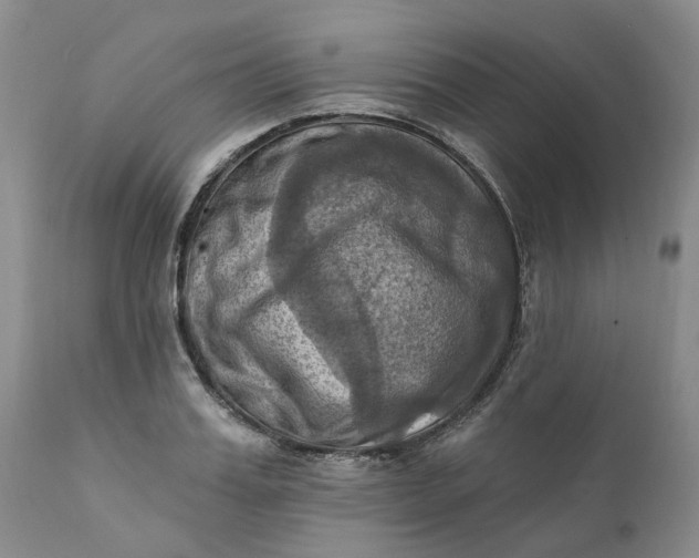 X0000111360987200907241218