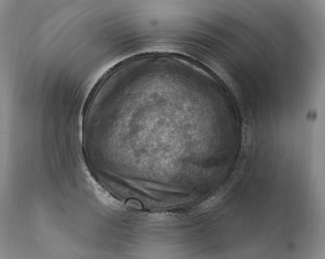 X0000111360988200907241218