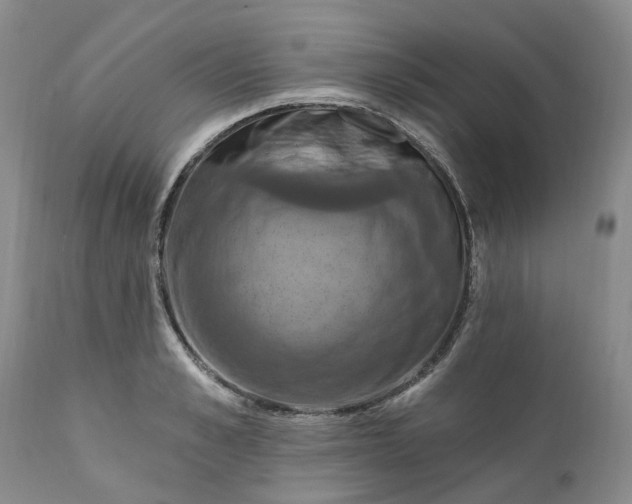 X0000111360989200907241218