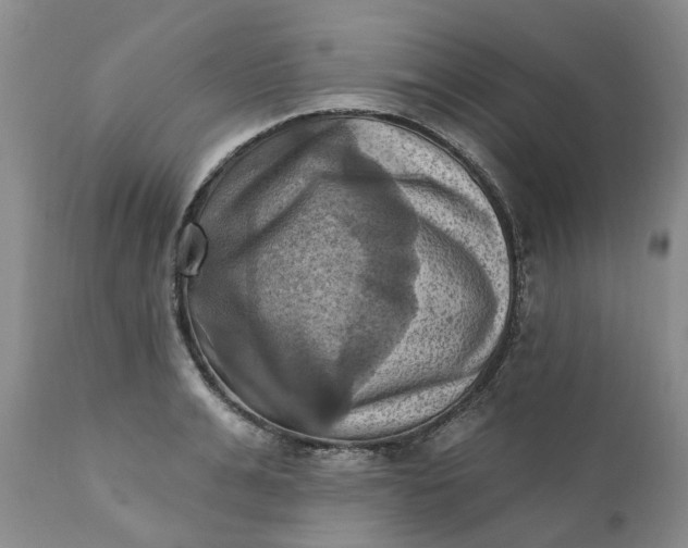 X0000111360991200907241218