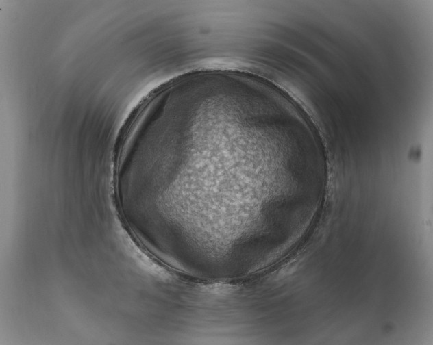 X0000111360992200907241218
