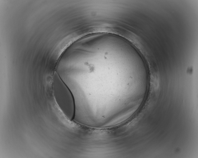 X0000111360993200907241218