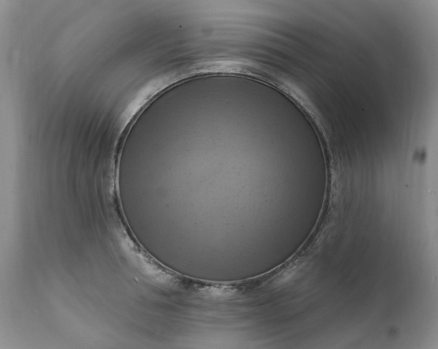 X0000111360994200907241218