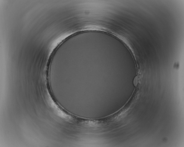 X0000111360995200907241218