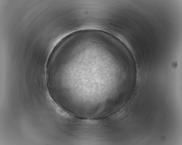 X0000111360996200907241218