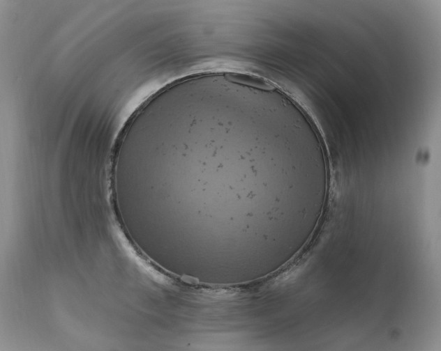 X0000111360997200907241218