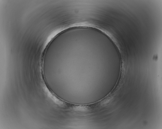 X0000111360998200907241218
