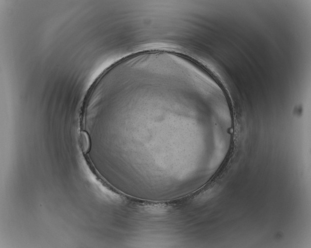 X0000111360999200907241218