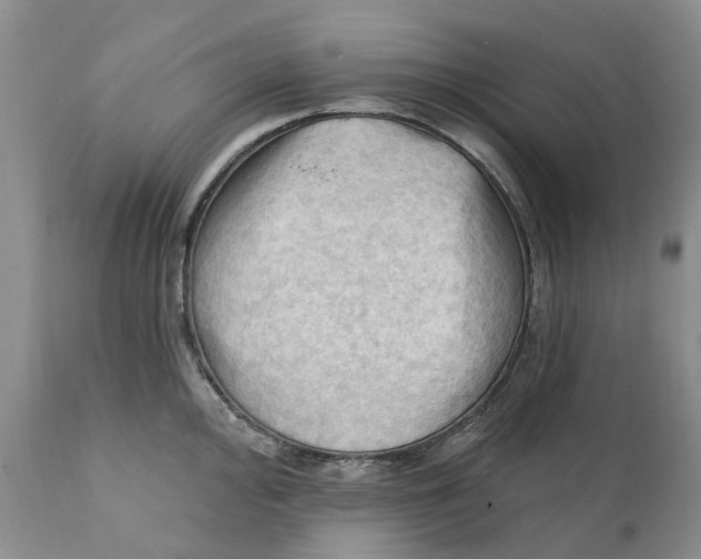 X0000111361000200907241218