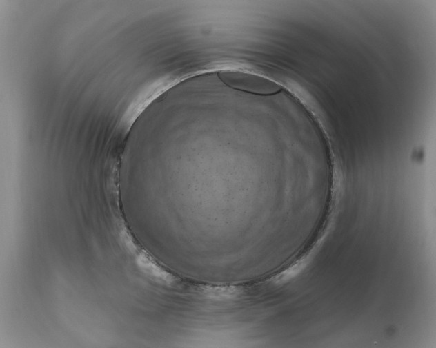 X0000111361001200907241218