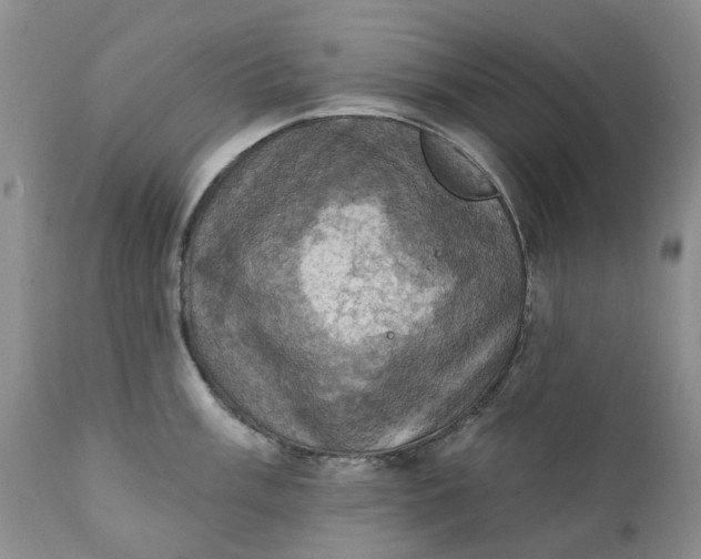X0000111361003200907241217