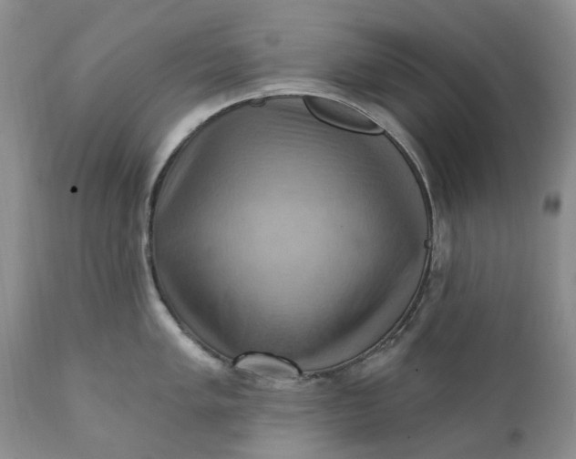 X0000111361005200907241217