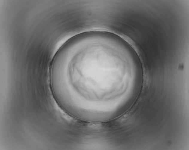 X0000111361006200907241217