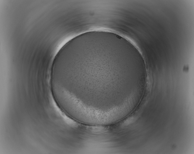 X0000111361007200907241217