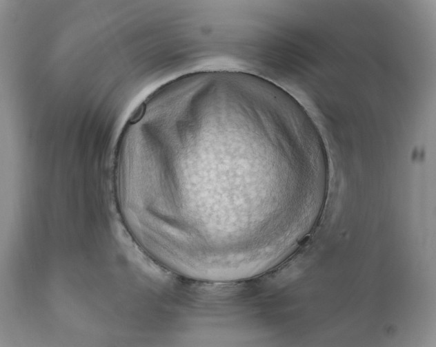 X0000111361008200907241217