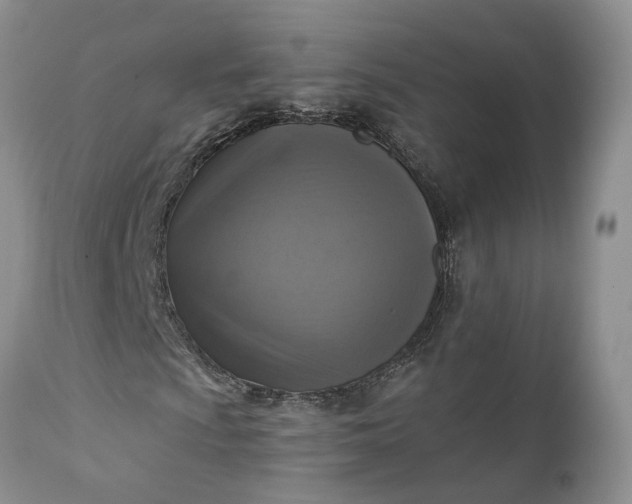X0000111361009200907241217