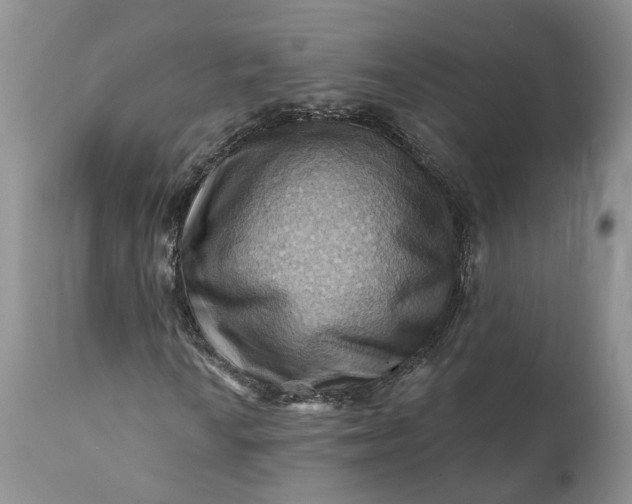 X0000111361010200907241217