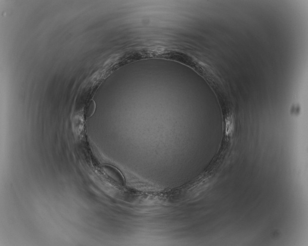 X0000111361011200907241217