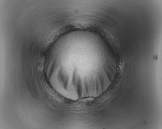 X0000111361012200907241217