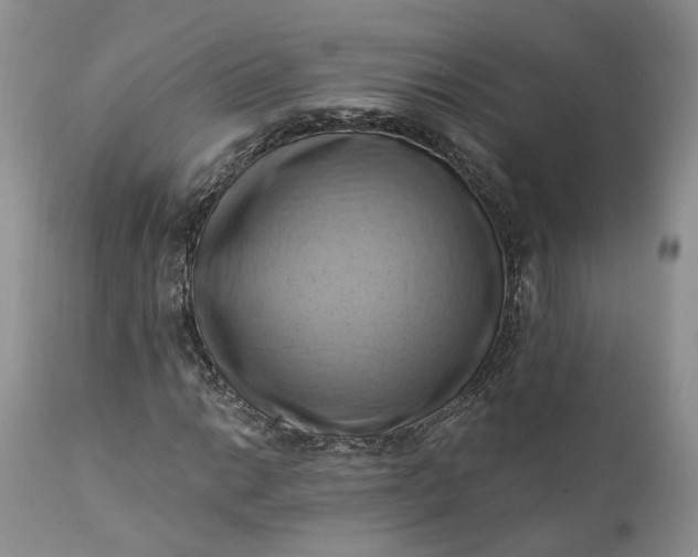 X0000111361014200907241217