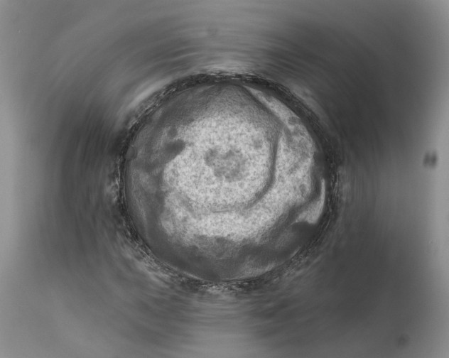 X0000111361015200907241217