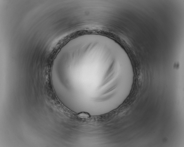 X0000111361016200907241217