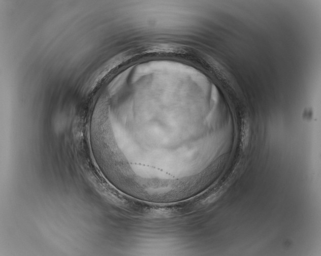 X0000111361017200907241217