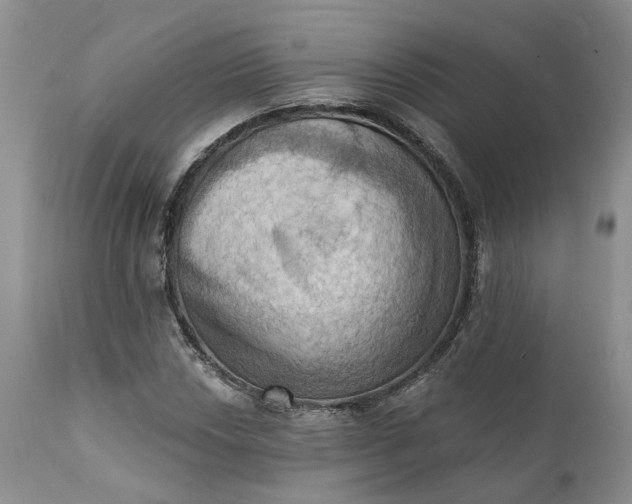 X0000111361018200907241217