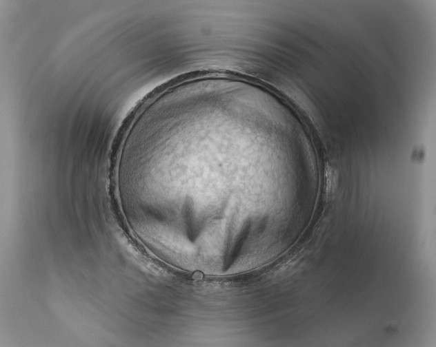 X0000111361020200907241217