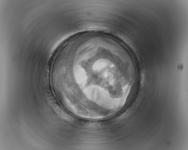 X0000111361021200907241217