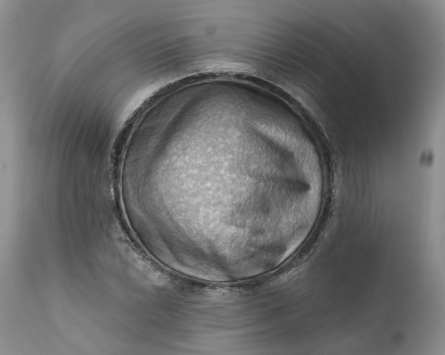 X0000111361022200907241217