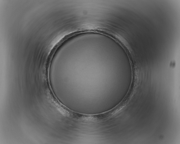 X0000111361023200907241217