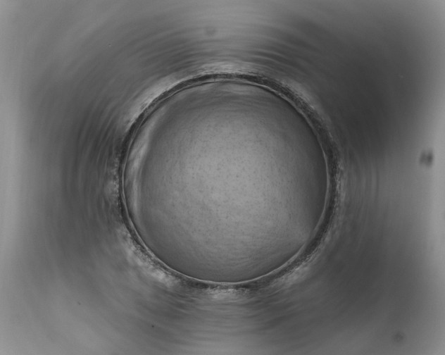 X0000111361025200907241217