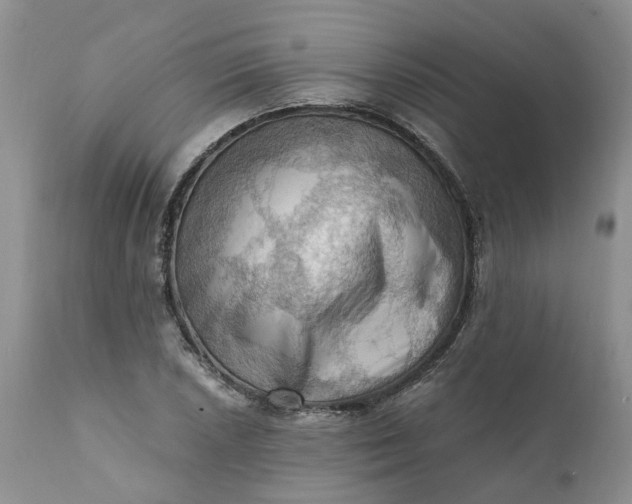 X0000111361026200907241217