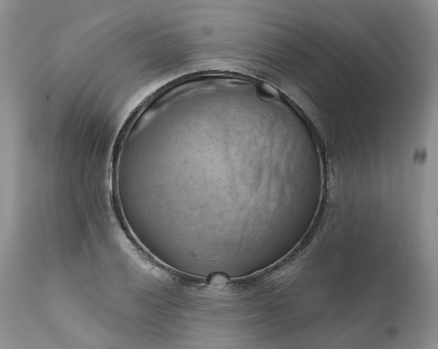 X0000111361028200907241217