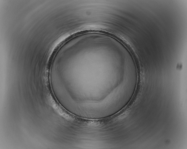 X0000111361029200907241217