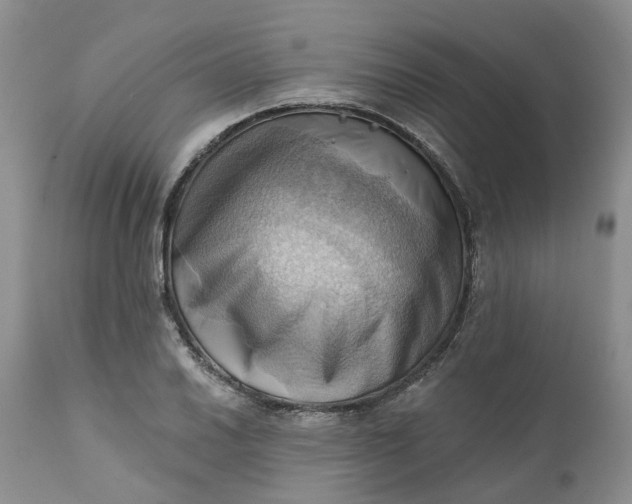 X0000111361030200907241217