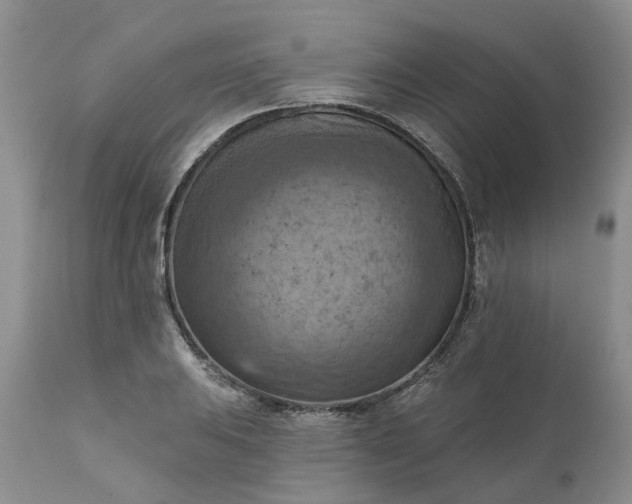X0000111361031200907241217