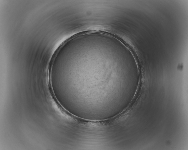 X0000111361032200907241217