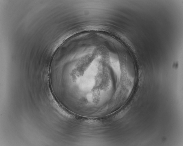 X0000111361033200907241217