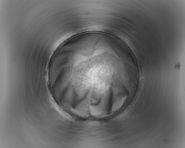 X0000111361034200907241217