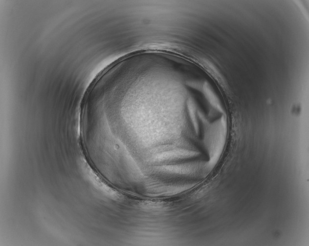 X0000111361036200907241217
