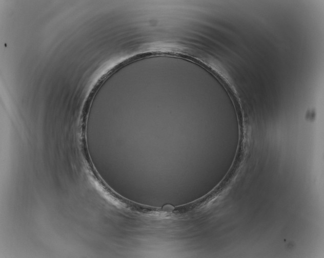 X0000111361037200907241217