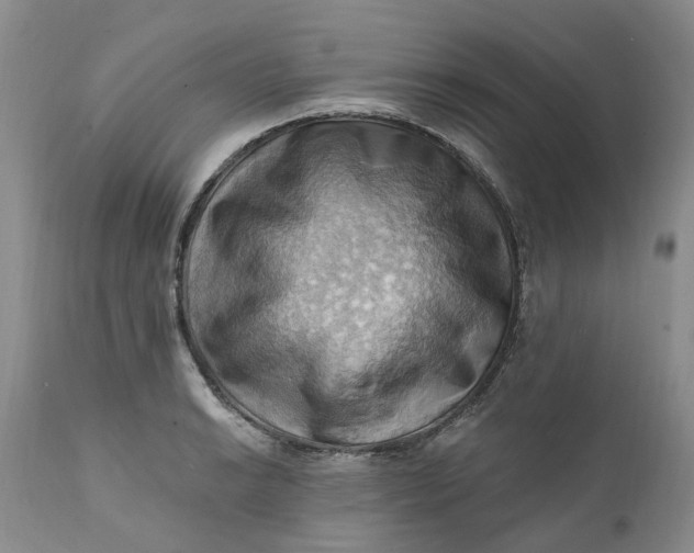 X0000111361038200907241217