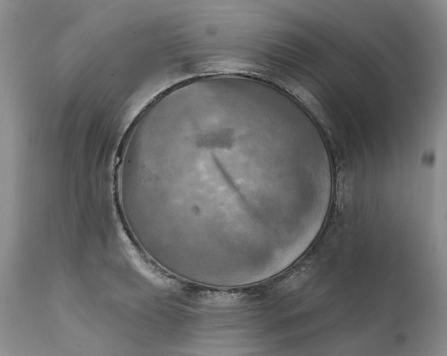 X0000111361039200907241217