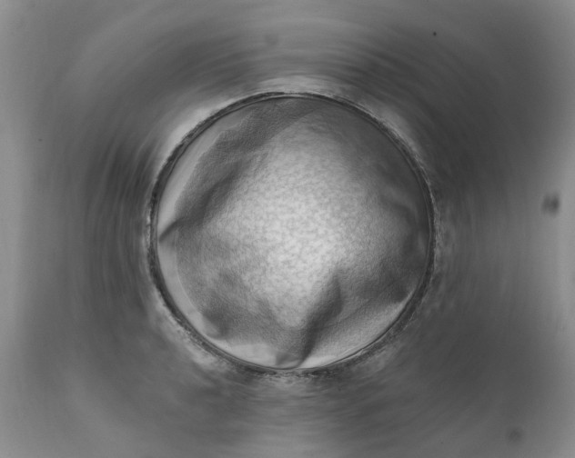 X0000111361040200907241217